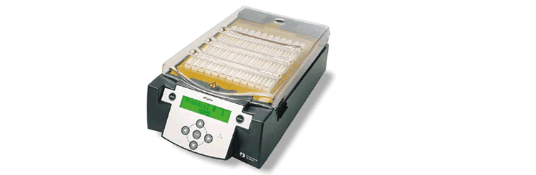 Ettan IPGphor  IEF System ̹
