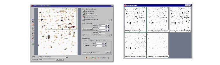PDQuest 2-D Analysis Software ̹
